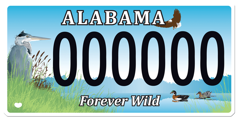 Forever Wild License Plate