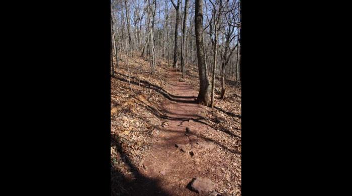 Fourteen miles of trails are found at Ruffner Mountain