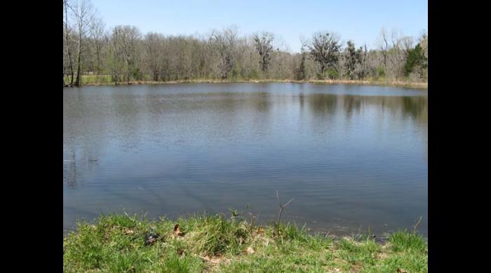 Pond on the Riggins Tract Addition to the Lowndes WMA