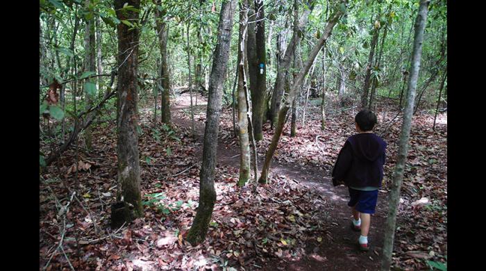The trail offers an easy to slightly moderate hike through southeast Alabama forest.