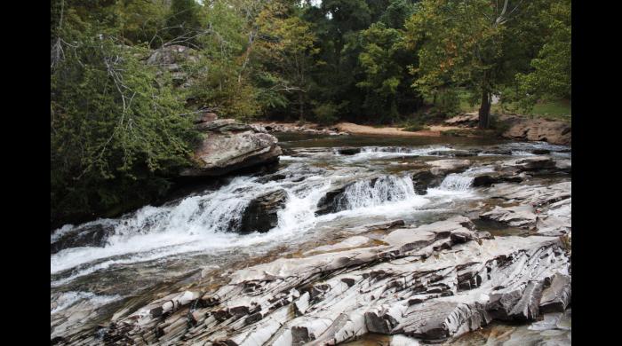 Turkey creek