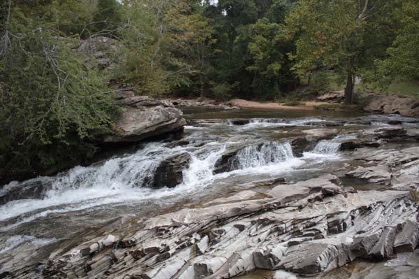 Turkey Creek Nature Preserve, the crown jewel of Alabama's Forever Wild  Program needs your help