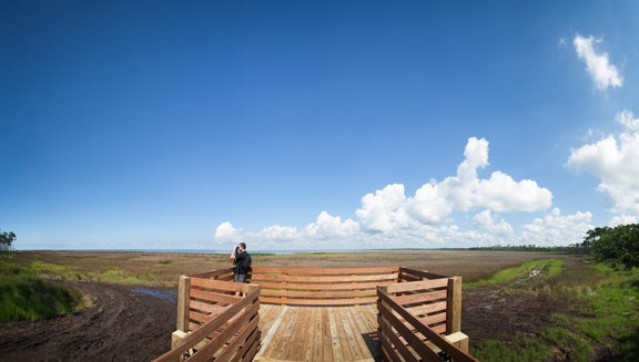 Grand Bay Viewing