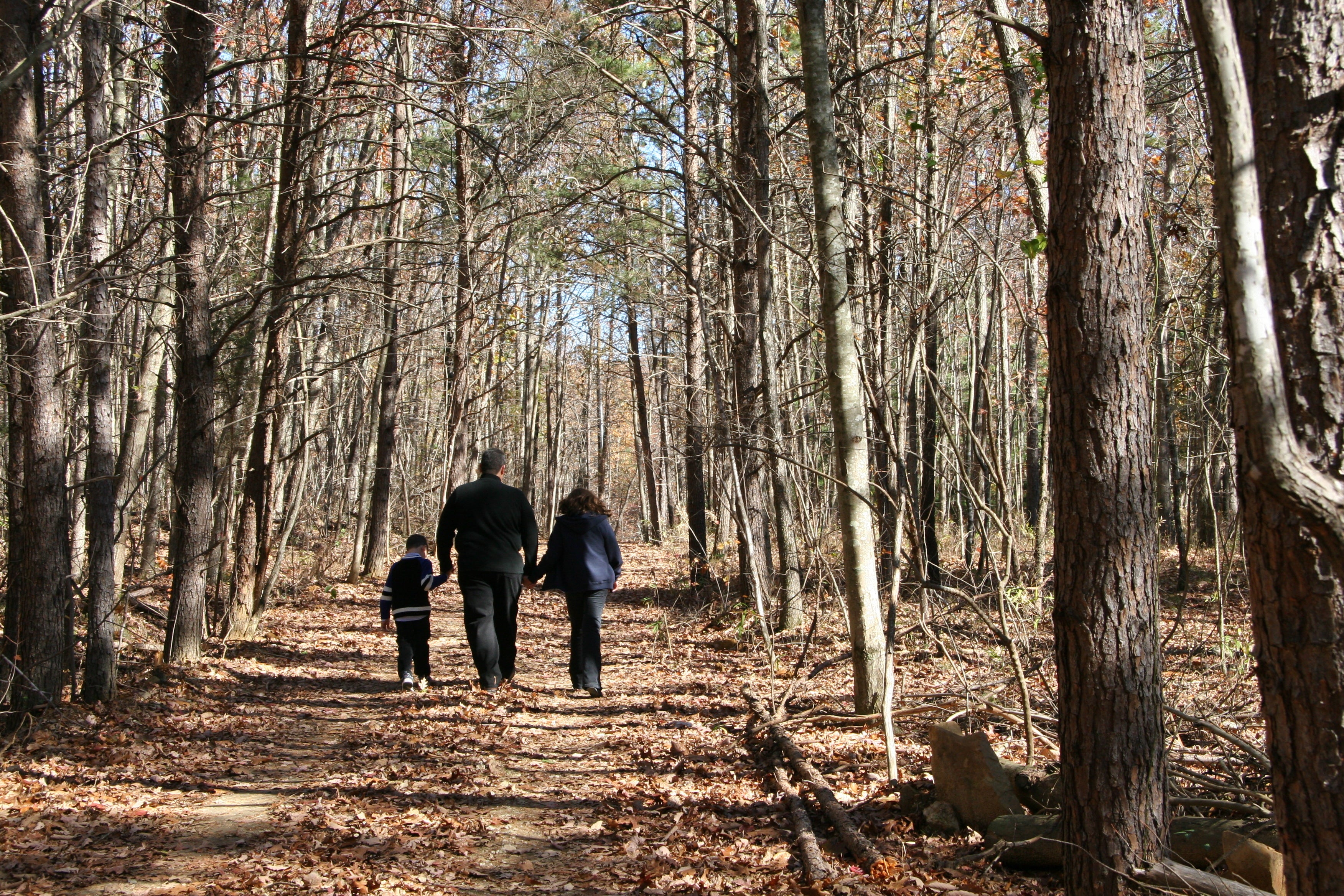 Family hiking