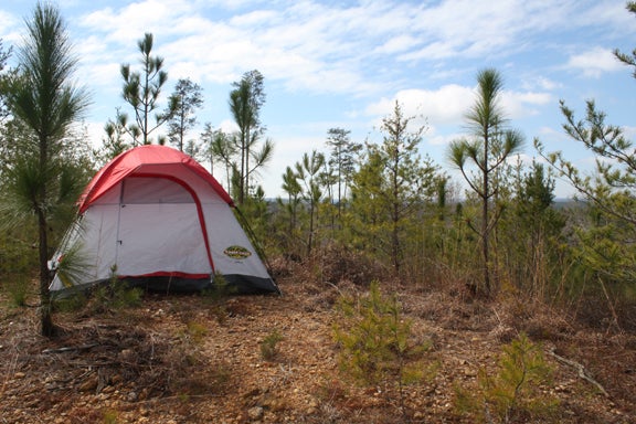 Tent in the woods