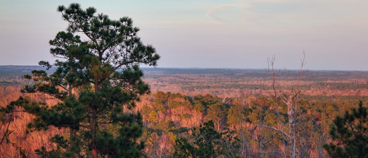 Red hills with trees