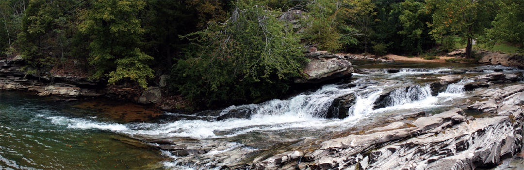 Turkey Creek Wide View