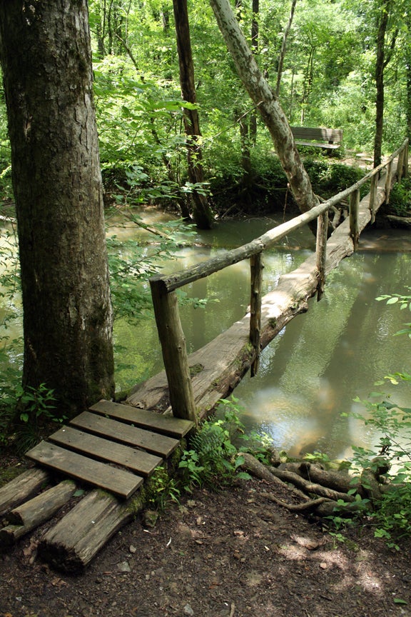 Wooden walkway