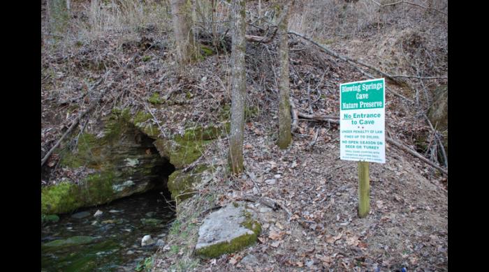 Blowing Springs Cave Forever Wild Property