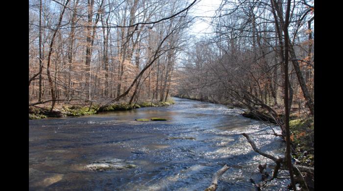 First Creek 