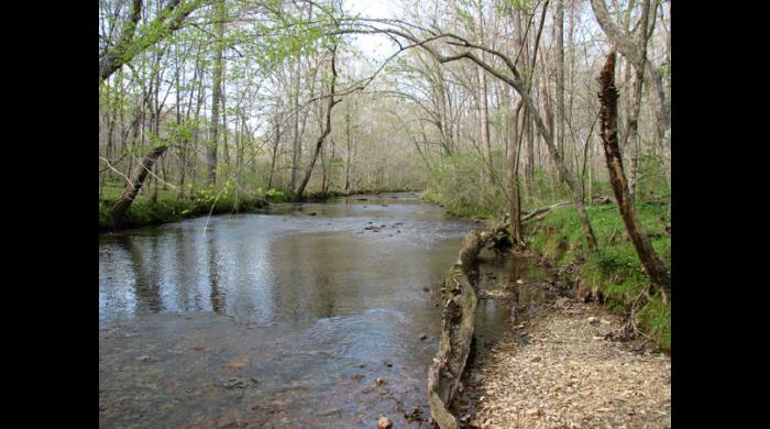 First Creek