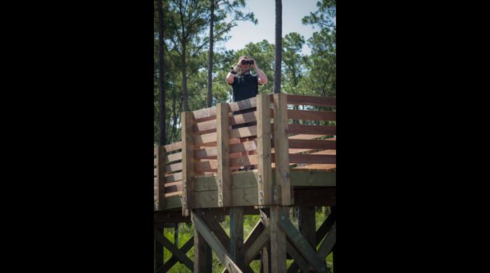 An elevated boardwalk provides a good vantage point for birders.