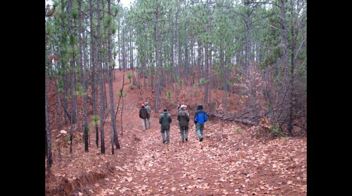 Coosa WMA (Hancock)