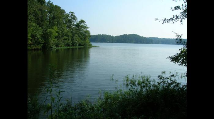 Coosa WMA (Hancock)