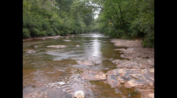 Coosa WMA (Hancock)