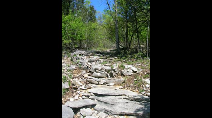 Henshaw Cove, part of the Walls of Jericho Forever Wild Tract