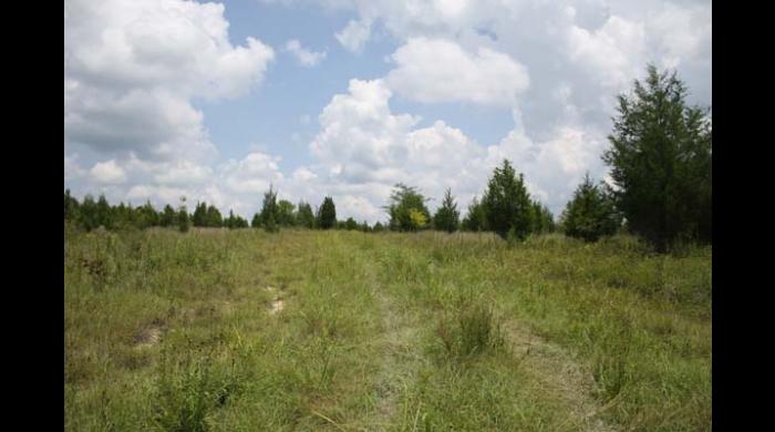 Old Cahawba Prairie