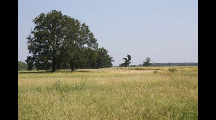 M. Barnett Lawley Forever Wild Field Trial Area