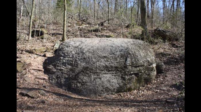 Ruffner Mountain