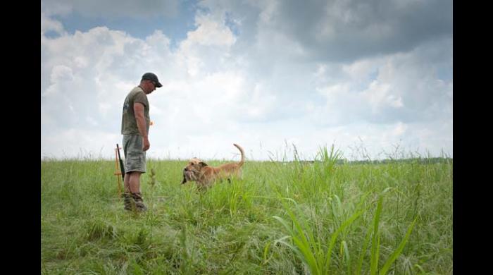 Retriever Hunt Test