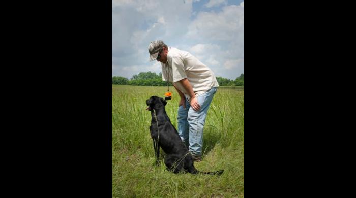 Retriever Hunt Test