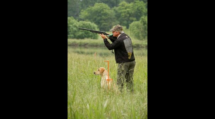 Retriever Hunt Test