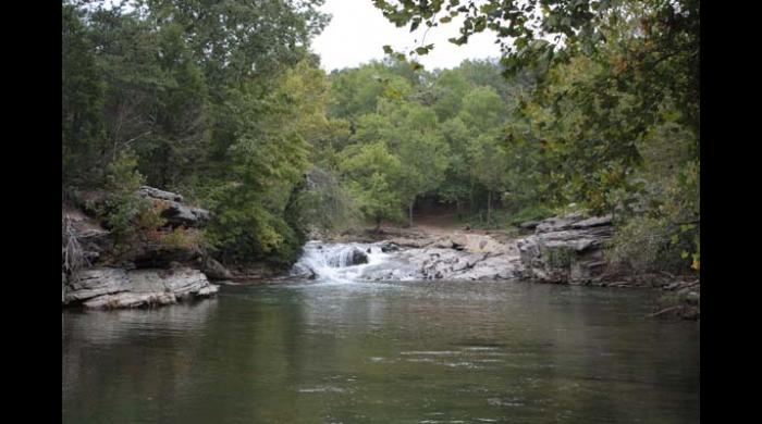 Turkey Creek