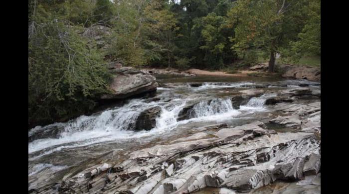 Turkey Creek
