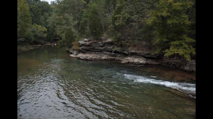 Turkey Creek Nature Preserve