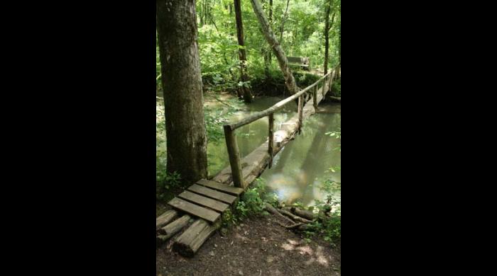 Foot bridge