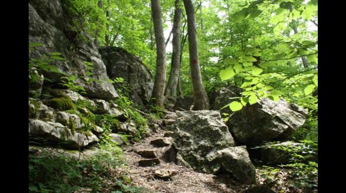 Walls of Jericho hiking trail