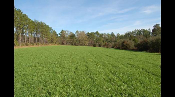 Barbour County Wma Map Barbour Wma | Forever Wild