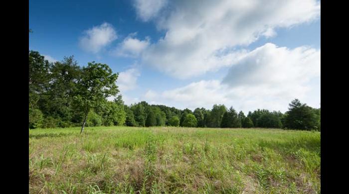 Shoal Creek Nature Preserve