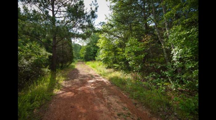 Shoal Creek Nature Preserve