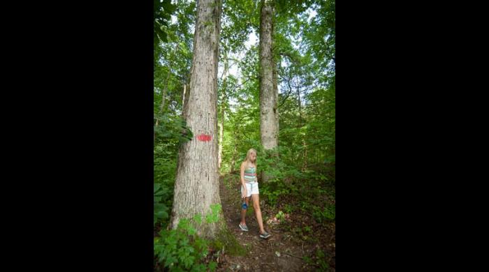 Hiking trails are well-marked.