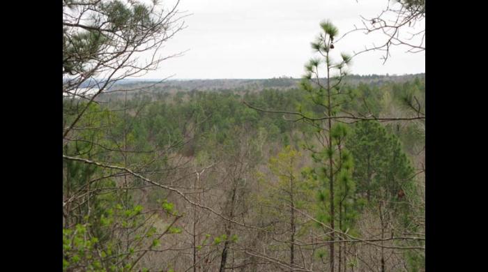 Yates lake WMA Vista