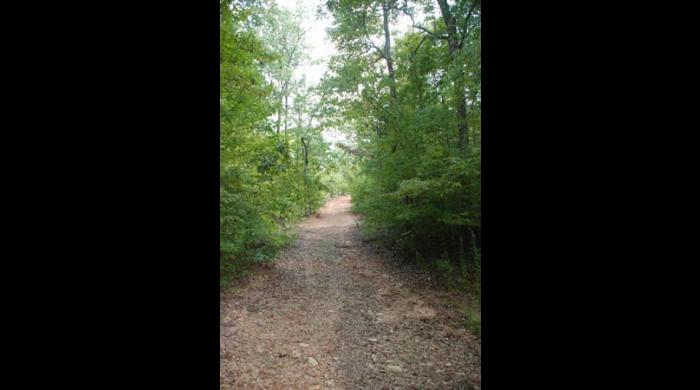 Road at Yates Lake