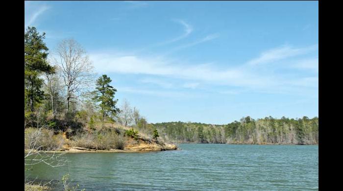 Yates Lake WMA | Forever Wild