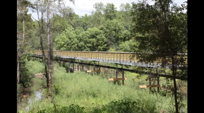 A series of boardwalks and bridges connect the trails.