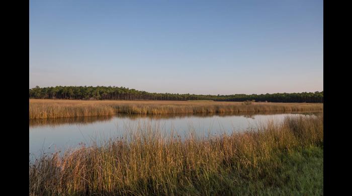 Heron Bay Wetlands