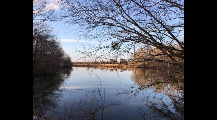 One of the lakes at the field trial area.