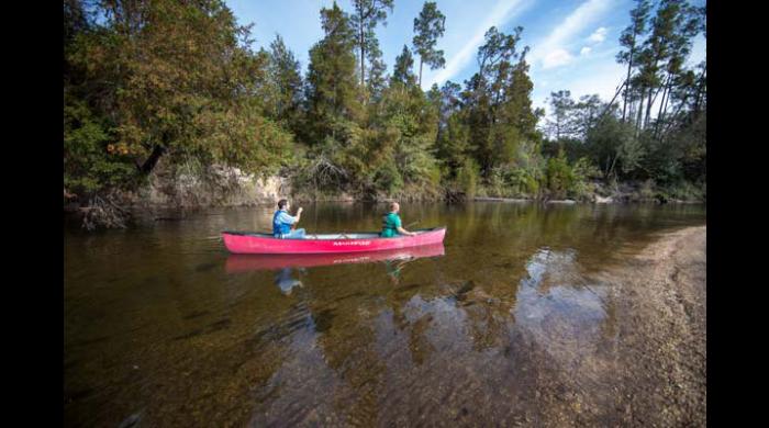 This portion of the river is characterized by gently flowing tannin stained waters over southern white sands. 