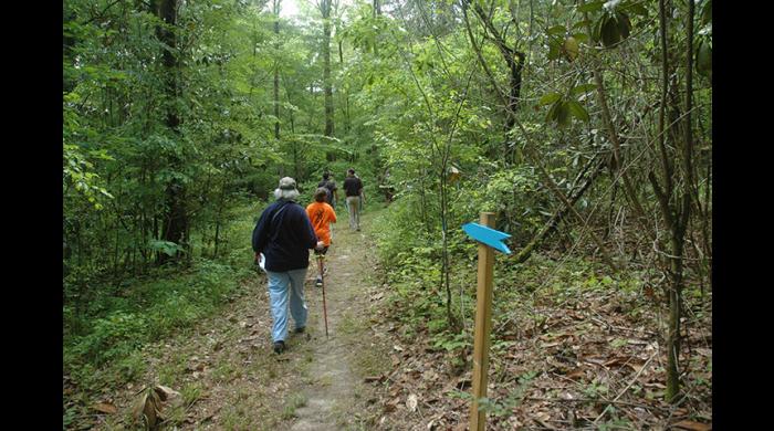 hikers on trail