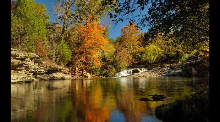 Turkey creek