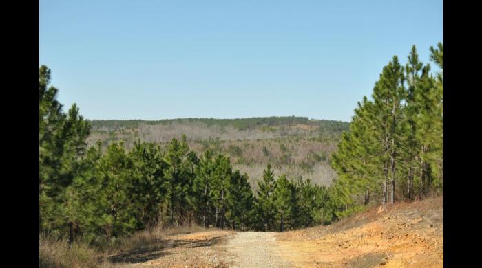 Barbour County Wma Map Barbour Wma | Forever Wild