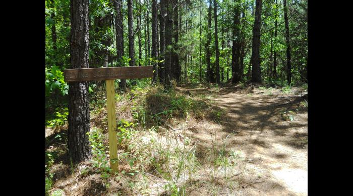 Trailhead at Cahaba River Park