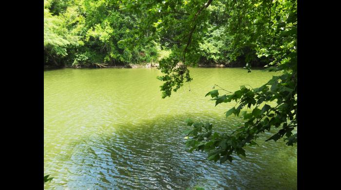 A view of the Cahaba River