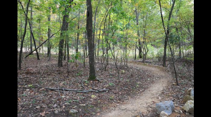 Coldwater Mountain Trail