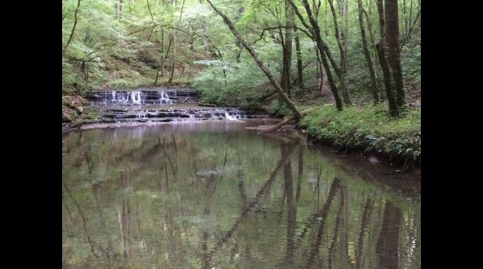 Lawson Branch Waterfall